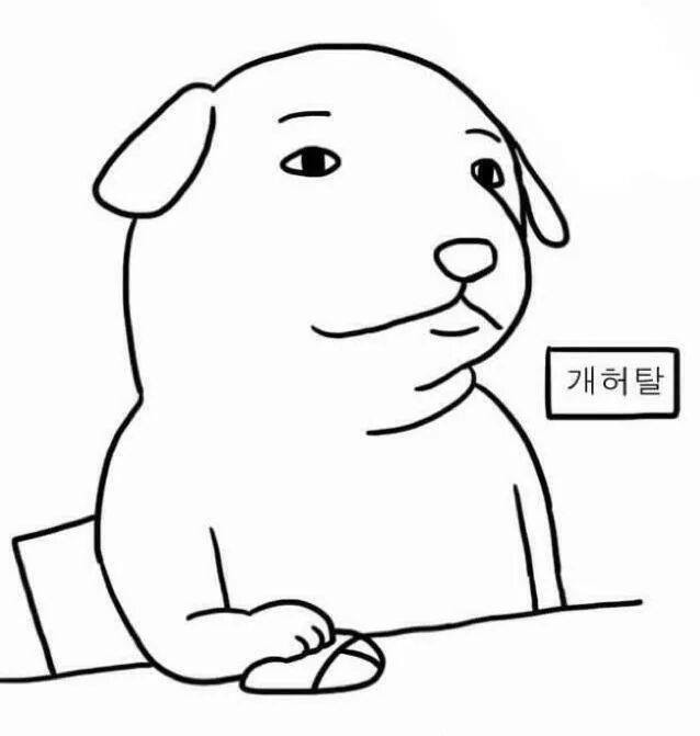 우리나라에 살면서 정말 이해가 안 가는 것 | 인스티즈