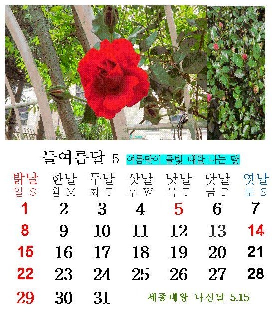마루 이미지