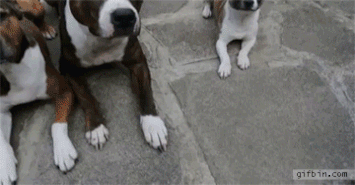 눈치게임.gif | 인스티즈