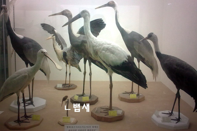 뱁새찡이 황새 따라가다 가랭이 찢어지는 이유.jpg | 인스티즈