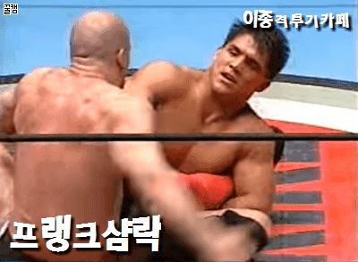 은혜를 아는 코끼리 | 인스티즈