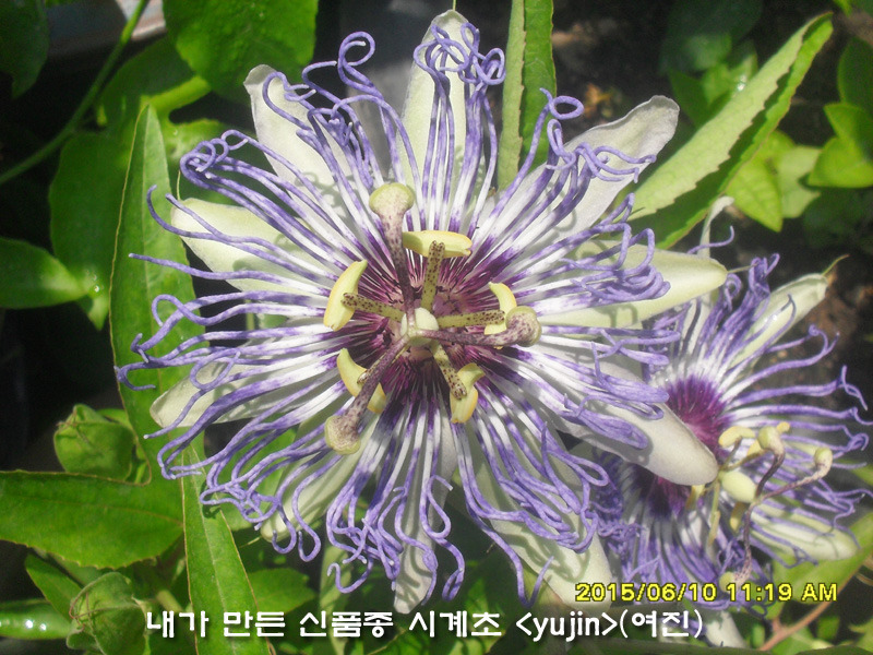 블루스카이 이미지