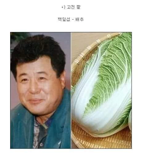 사물을 닮은 남.여 연예인들 | 인스티즈