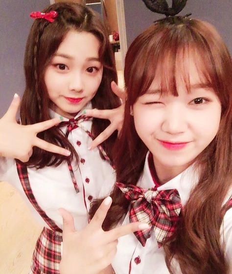 아이오아이 최유정 과 강미나 둘의 차이점 | 인스티즈