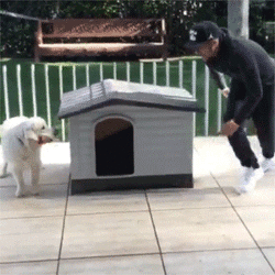 인스타그램 가장 많은 팔로워를 보유한 운동선수.jpg | 인스티즈