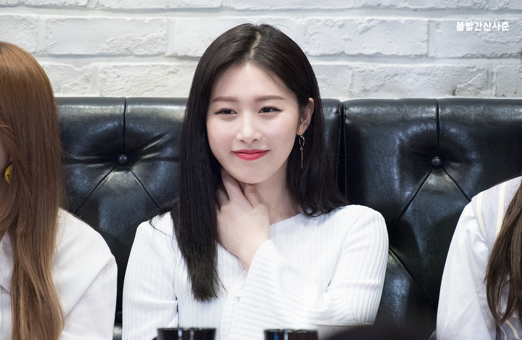 소나무와커피 이미지