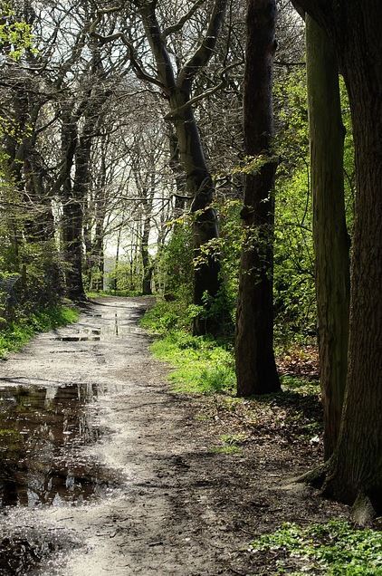은근 많은 사람들이 좋아하는 냄새 | 인스티즈