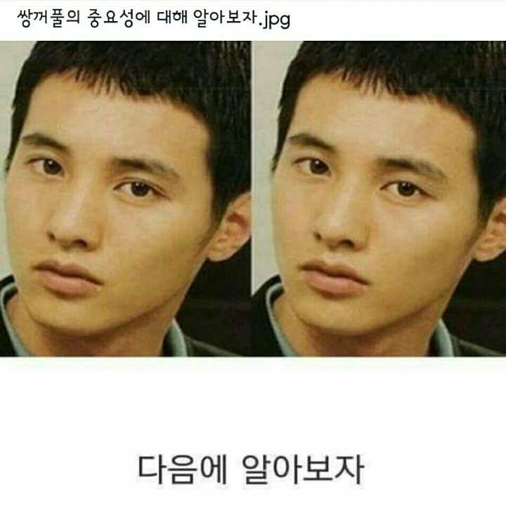 쌍커풀의 중요성을 알아보자.jpg | 인스티즈
