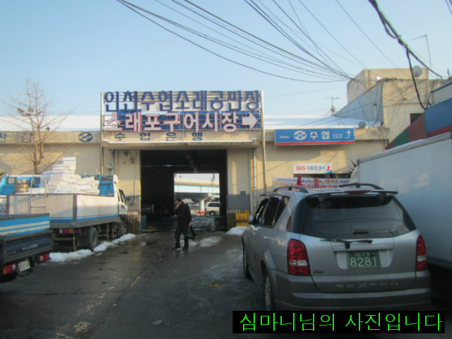 푸름약초 이미지