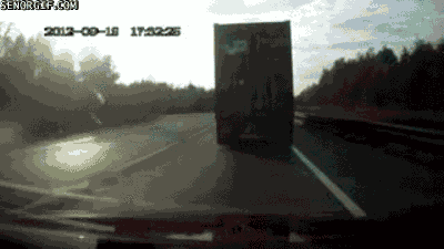 오금이 지리는 짤.GIF | 인스티즈