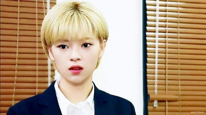 snl 에서 정연이 | 인스티즈