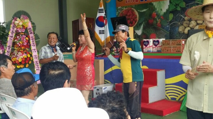 순정감자 이미지