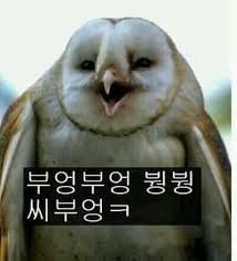드리오 이미지