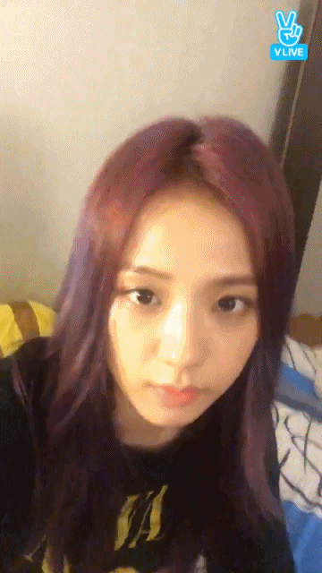 블랙핑크 지수 v앱.gif | 인스티즈