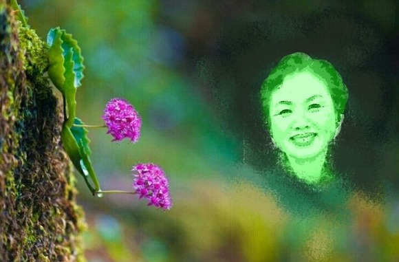 꽃마중 이미지