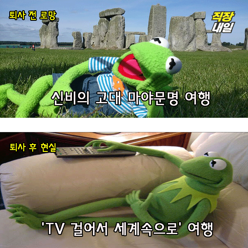 직장인 개구리가 퇴사를 해보았다(팩트폭행 주의) | 인스티즈