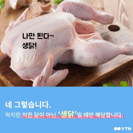 개와 닭 뼈에 관한 오해 | 인스티즈