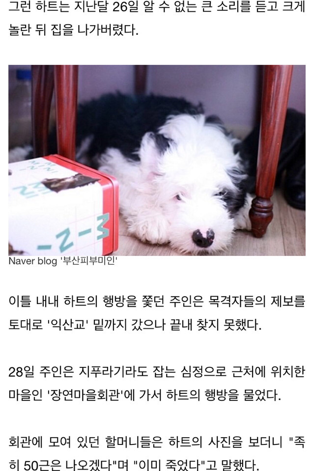 수렵시대 대한민국 | 인스티즈