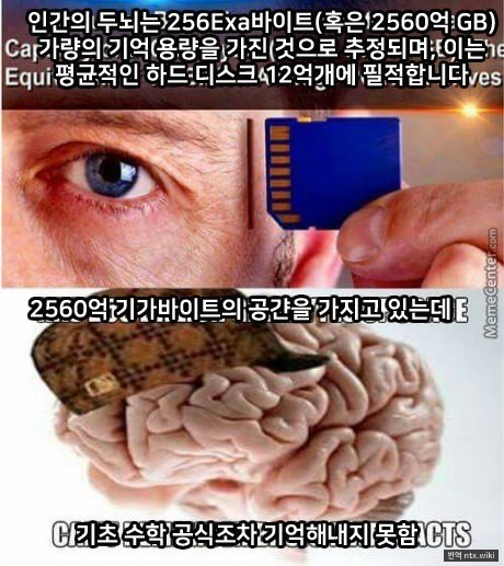 인간의 두뇌 | 인스티즈
