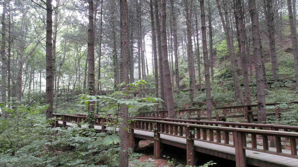 산음자연휴양림 이미지