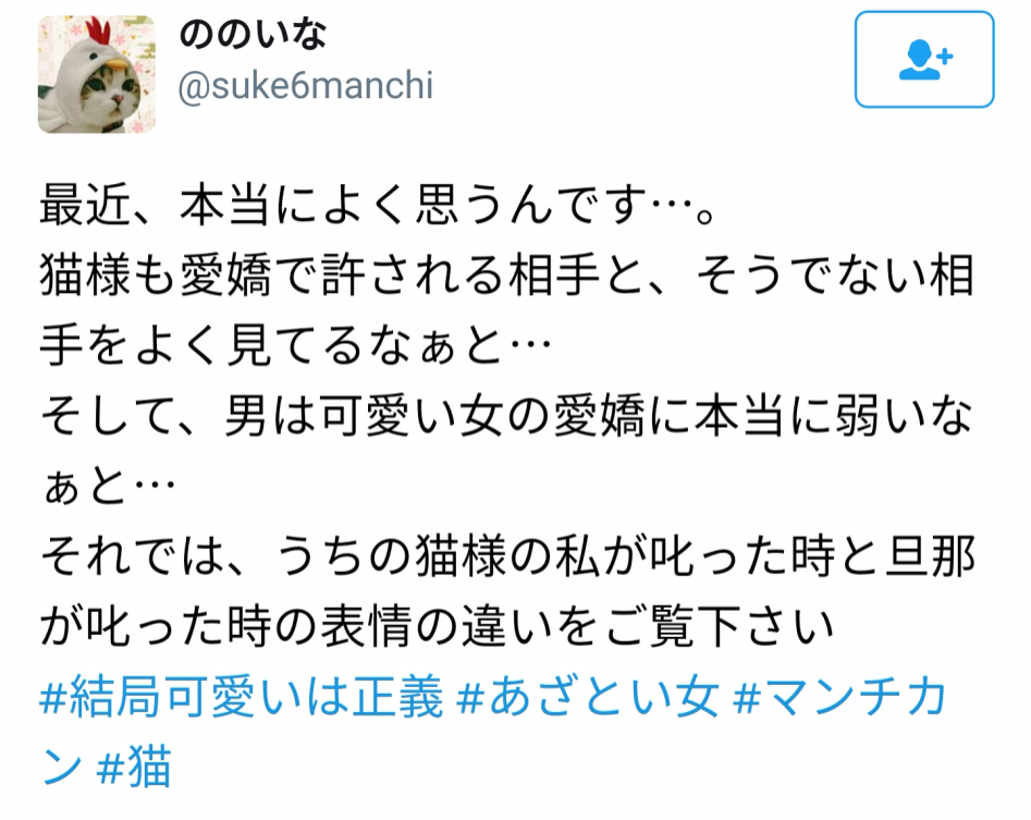 상대에 따른 고양이 애교 차이.jpg | 인스티즈