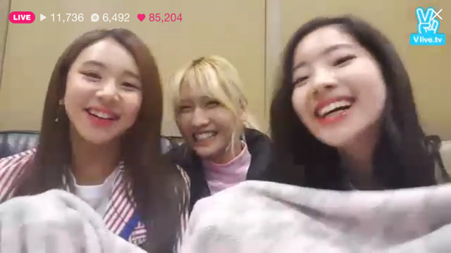 [트와이스] 모모,다현,채영 v앱 기습라이브 캡쳐 | 인스티즈