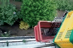 고양이 엘리베이터.gif | 인스티즈