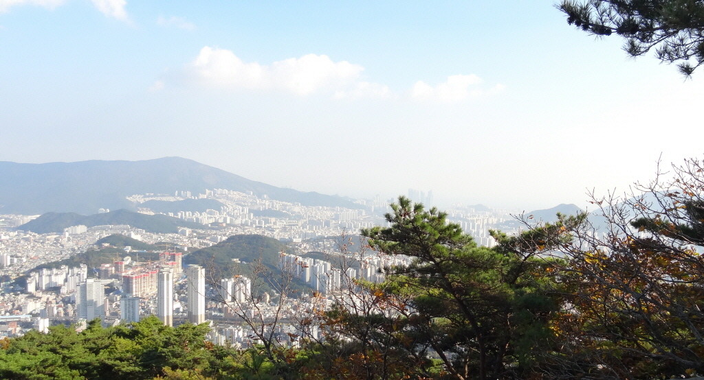 금강원 이미지