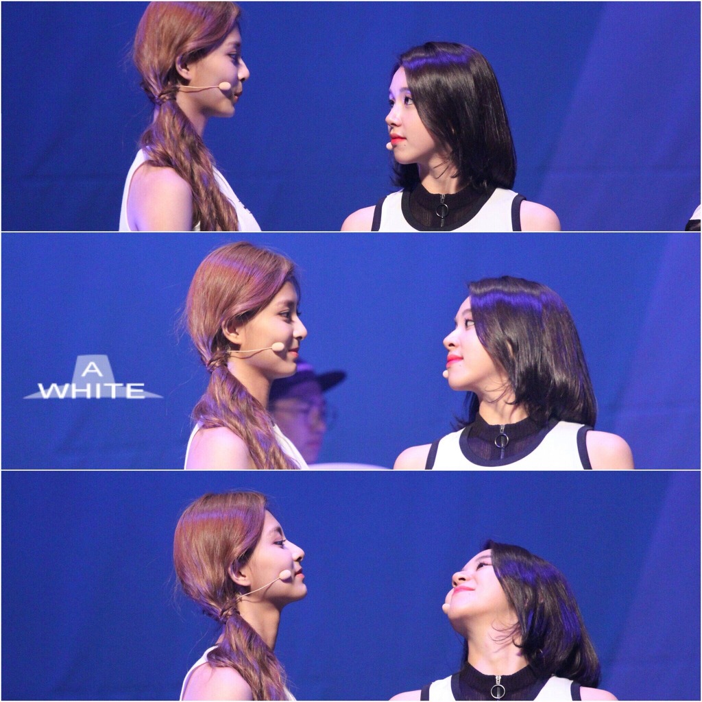 [트와이스] 팀내 최장신 & 최단신 동갑내기 친구 | 인스티즈