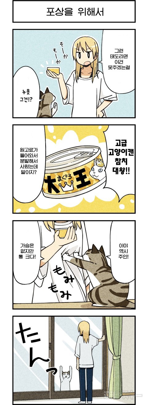 고양이가 말하는 만화.JPG | 인스티즈