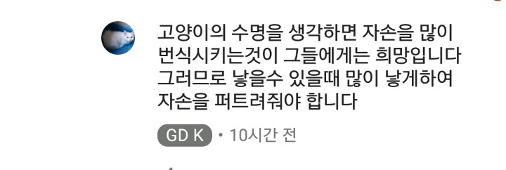 가정집 고양이공장같은 애니머호더 유튜버 봐줘라 | 인스티즈