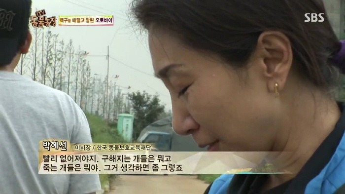 [TV동물농장] 동물농장에서 방송된 인천의 한 개 도축장의 현실.jpg | 인스티즈