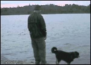 미련한 사람들 GIF | 인스티즈