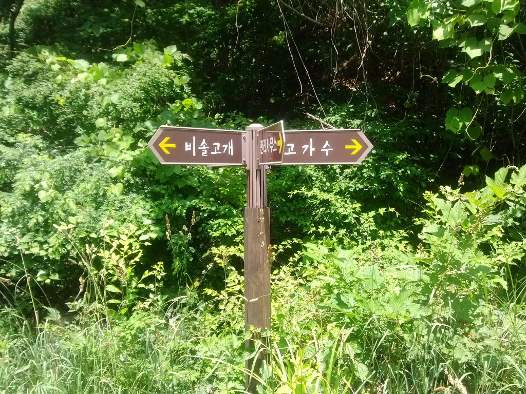 국립산음자연휴양림 이미지