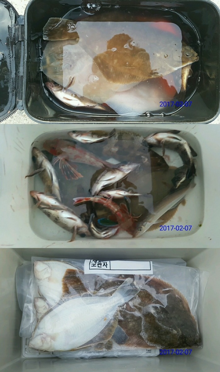 전국선외기 이미지
