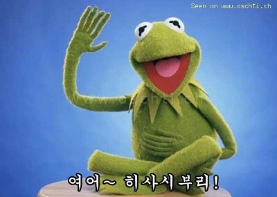 빠라빠라 이미지