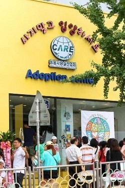 7년간 14번 출산...말티즈의 비참한 최후 | 인스티즈