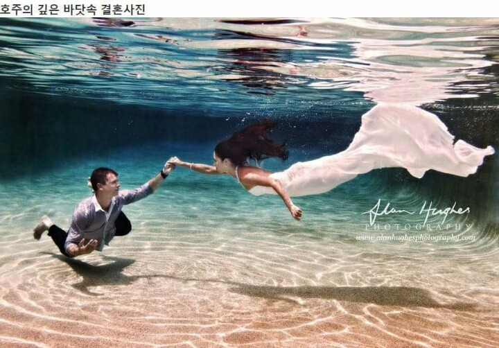 236E6A3A55E9619C334101