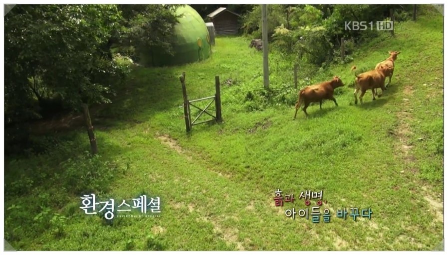 수요일 밤 10시면 꼭 보던 프로그램.jpg | 인스티즈