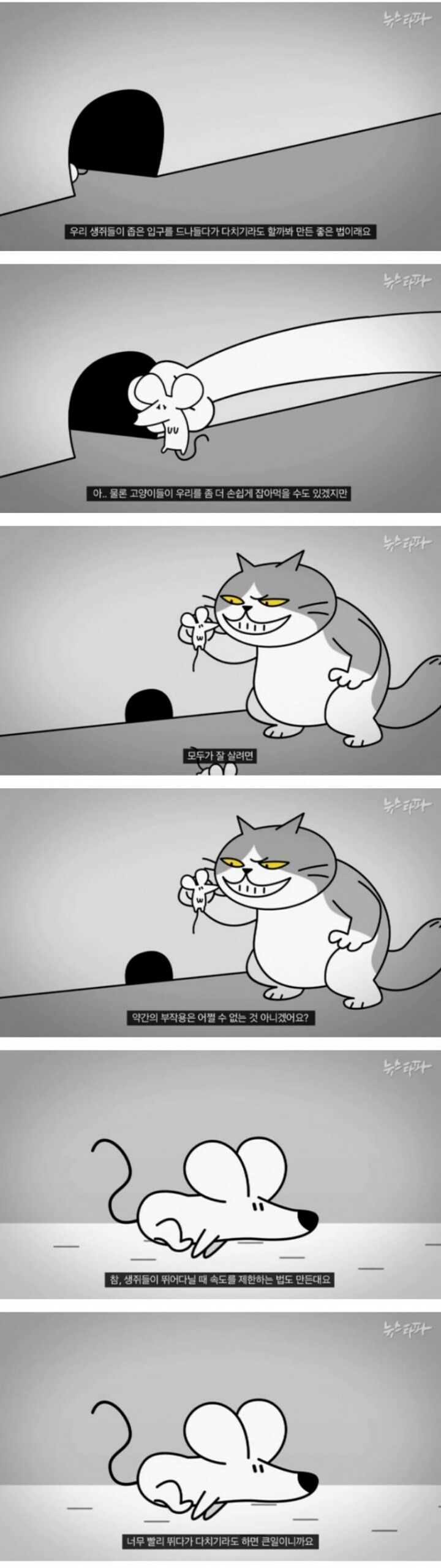 생쥐나라 | 인스티즈