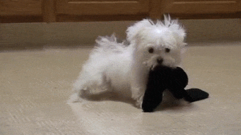 자꾸 눈이 가네 하얀 그 얼굴에.jpgif | 인스티즈