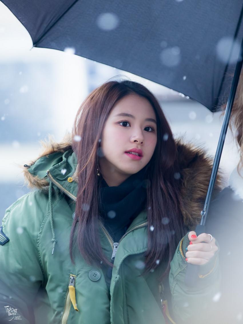 손채영 고화질 배경 사진.jpg | 인스티즈