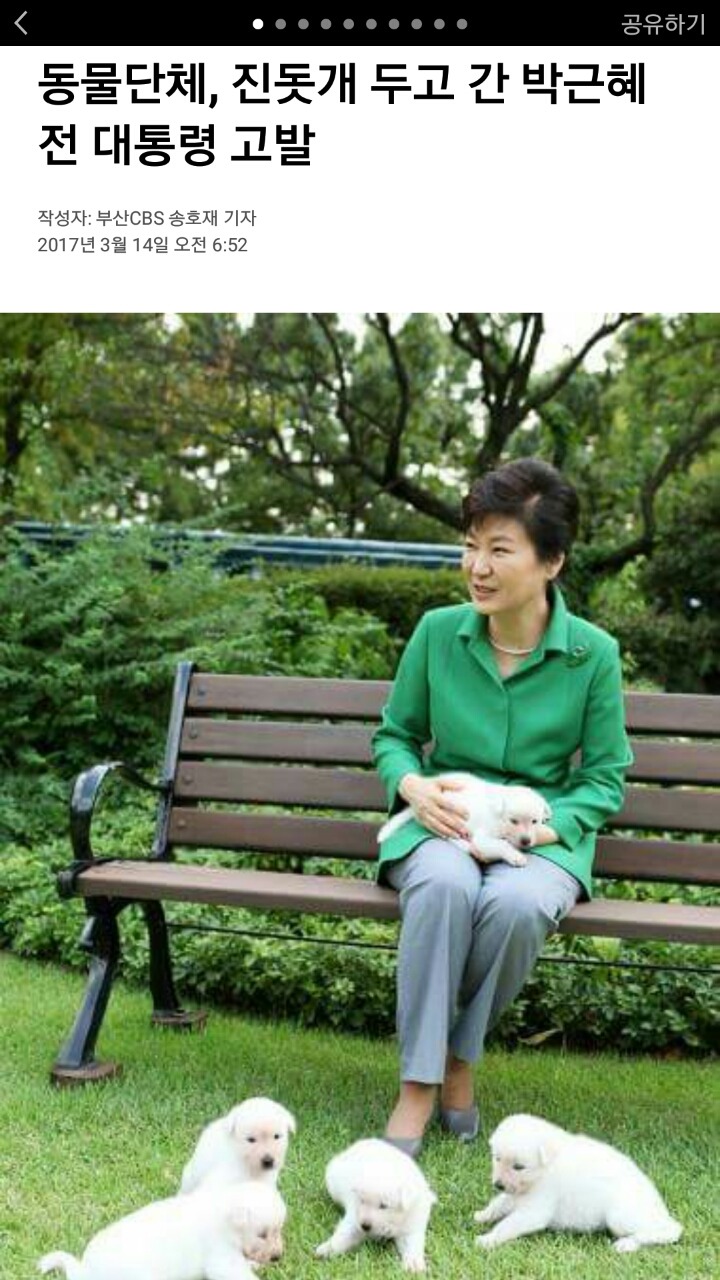 동물단체, 진돗개 두고 간 박근혜 고발 | 인스티즈