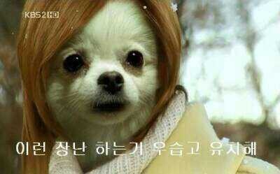 다 이미지