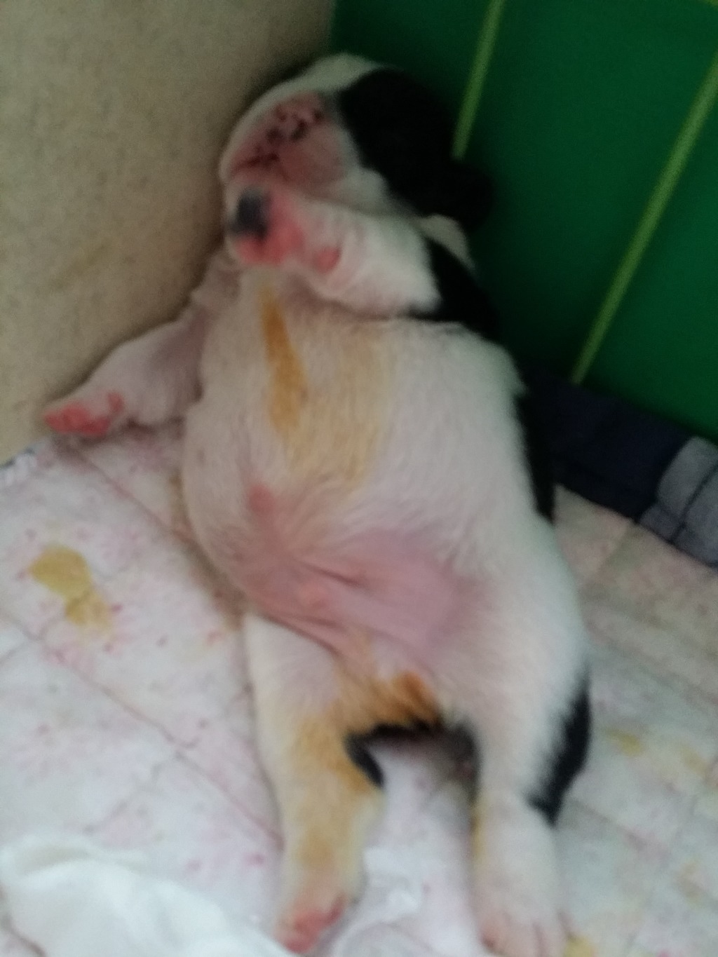 이시키 이미지