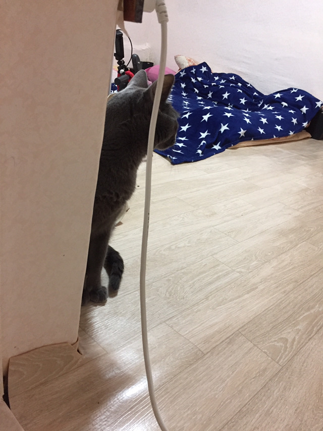 샤워하거나, 화장실에 오랜시간 있으면 발생하는일..... | 인스티즈