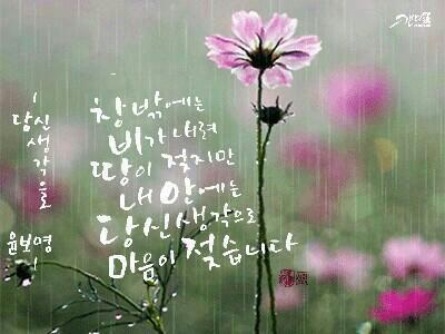 송운 이미지