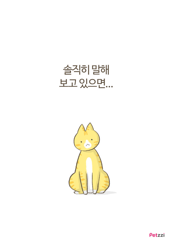 고양이 키우다 보면 느끼는 고양이의 소소한 취향.jpg | 인스티즈