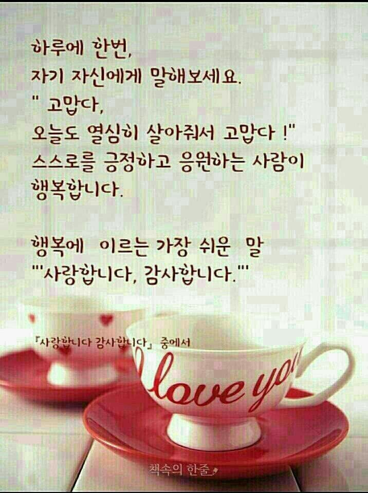 사랑님 이미지