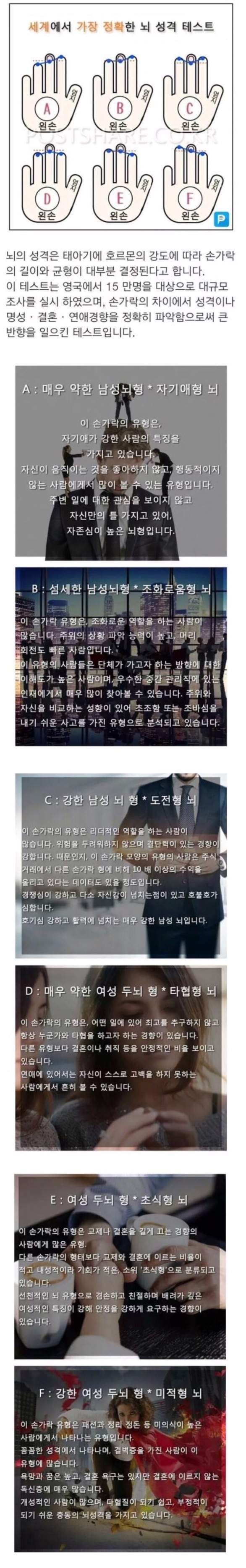 세계에서 가장 정확한 뇌 성격 테스트.jpg | 인스티즈